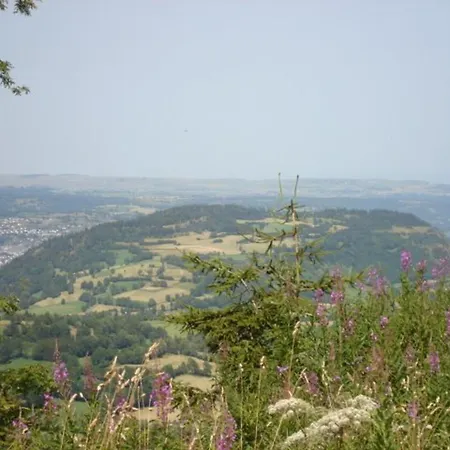 Rénové En Cœur De Station, Accès Direct Extérieur, Proche Des Pistes Et Commerces - Fr-1-787-51 * Laveissière